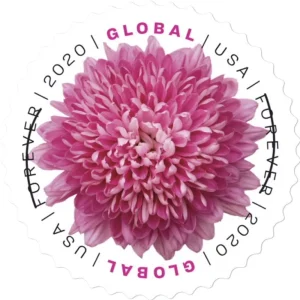 Global Forever Stamps 2020 Chrysanthemum – Floral Collection, International Rate