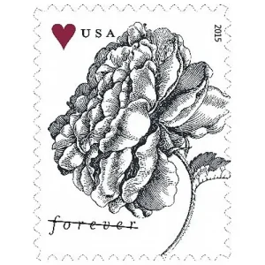 Forever Stamps 2015 Vintage Rose – Wedding Invitation & Love Celebration, First-Class Postage