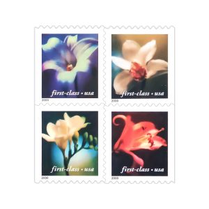 First Class Stamps 2000 Four Flowers – Nature Series, Fixed Rate Postage