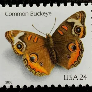 First Class Stamps 2006 Common Buckeye Butterfly – Nature Series, 24¢ Postage