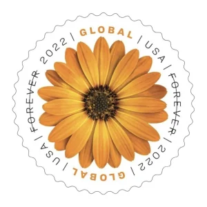 Global Forever Stamps 2022 African Daisy – International Rate