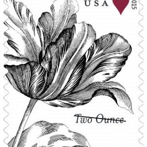 Two-Ounce Stamps 2015 Tulip – Wedding Invitation, First-Class Postage